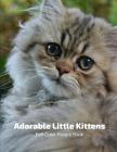 Adorable Little Kittens: A Cat Picture Book for Children, Seniors and Alzheimer's Patients By Fabulous Book Press Cover Image