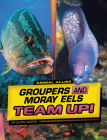 Groupers and Moray Eels Team Up! By Gloria Koster Cover Image