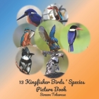 13 Kingfisher Birds' Species Picture Book: Photobook of Kingfisher birds A Coffee Table Book for Bird Watchers Lovers A Gift for Adult seniors Dementi By Simeon Toluwase Cover Image