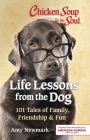 Chicken Soup for the Soul: Life Lessons from the Dog: 101 Tales of Family, Friendship & Fun Cover Image