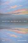 What Do We Know Of Time? By Patricia Hemminger Cover Image