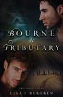 Bourne & Tributary (River of Time) By Lisa T. Bergren Cover Image