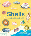 Shells... and what they hide inside: A Lift-the-Flap Adventure By Helen Scales, Sonia Pulido (By (artist)) Cover Image