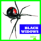 Black Widows Cover Image