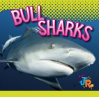 Bull Sharks By Marysa Storm Cover Image
