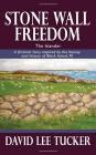 The Islander: A Fictional Story Inspired by the Beauty a ND Hist Ory of Block Island, RI (Stone Wall Freedom #2) Cover Image