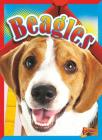 Beagles (Doggie Data) By Margaret Mincks Cover Image
