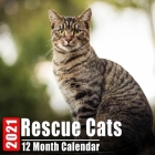 Calendar 2021 Rescue Cats: Cute Kittens Photos Monthly Mini Calendar With Inspirational Quotes each Month Cover Image