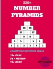 Puzzlemania's Number Pyramid: Awaken Your Mathematical Genius By Jason Stan Cover Image