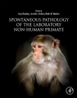 Spontaneous Pathology of the Laboratory Non-Human Primate By Alys Bradley (Editor), Jennifer Chilton (Editor), Beth Mahler (Editor) Cover Image