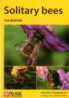 Solitary Bees Cover Image