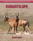 Kuhantilope: Lustige Fakten und sagenhafte Fotos By Jeanne Sorey Cover Image
