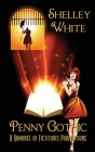 Penny Gothic: a romance of fictitious proportions By Shelley White Cover Image