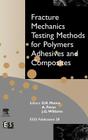 Fracture Mechanics Testing Methods for Polymers, Adhesives and Composites: Volume 28 (European Structural Integrity Society #28) By D. R. Moore, J. G. Williams, A. Pavan Cover Image