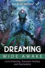 Dreaming Wide Awake: Lucid Dreaming, Shamanic Healing, and Psychedelics Cover Image