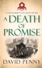 A Death of Promise By David Penny Cover Image