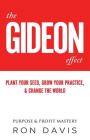 The Gideon Effect: How to build & grow a professional services practice FAST, even if you're outnumbered 450 to 1 Cover Image