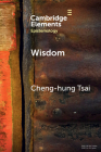 Wisdom: A Skill Theory By Cheng-Hung Tsai Cover Image
