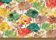 Autumn Leaves Note Cards By Peter Pauper Press (Created by) Cover Image