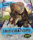 Triceratops By Rebecca Sabelko, James Kuether (Illustrator), James Kuether (Inked or Colored by) Cover Image