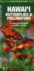 Hawaii Butterflies and Pollinators: A Folding Pocket Guide to Familiar Species Cover Image