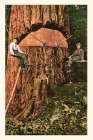 Vintage Journal Giant Fir Tree By Found Image Press (Producer) Cover Image