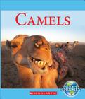 Camels By Jennifer Zeiger Cover Image
