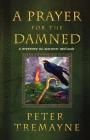 A Prayer for the Damned: A Mystery of Ancient Ireland (Mysteries of Ancient Ireland #17) Cover Image