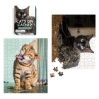 Cats on Catnip Mini Puzzles (RP Minis) By Andrew Marttila Cover Image