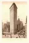 Vintage Journal Flat Iron Building, New York City By Found Image Press (Producer) Cover Image