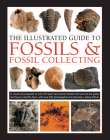 The Illustrated Guide to Fossils & Fossil Collecting: A Reference Guide to Over 375 Plant and Animal Fossils from Around the Globe and How to Identify By Steve Parker Cover Image
