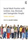 Social Work Practice with Lesbian, Gay, Bisexual, and Transgender People By Gerald P. Mallon (Editor) Cover Image