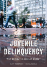 Juvenile Delinquency: Why Do Youths Commit Crime? By Cliff Roberson, Elena Azaola Cover Image