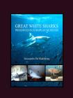 Great White Sharks Preserved in European Museums By Alessandro De Maddalena Cover Image