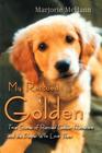 My Rescued Golden: True Stories of Rescued Golden Retrievers and the People Who Love Them By Marjorie McHann Cover Image