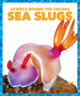 Sea Slugs By Alicia Z. Klepeis Cover Image