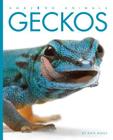 Amazing Animals: Geckos By Kate Riggs Cover Image