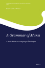 A Grammar of Mursi: A Nilo-Saharan Language of Ethiopia (Grammars and Sketches of the World's Languages #15) By Firew Girma Worku Cover Image
