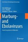 Marburg- And Ebolaviruses: From Ecosystems to Molecules (Current Topics in Microbiology and Immmunology #411) Cover Image