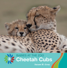 Cheetah Cubs By Susan H. Gray Cover Image