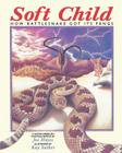 Soft Child: How Rattlesnake Got its Fangs By Joe Hayes (Retold by), Kay Sather (Illustrator) Cover Image