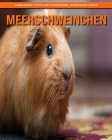 Meerschweinchen: Phänomenale Fotos und faszinierende, interessante Fakten By Katherine Hemmerich Cover Image