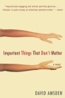 Important Things That Don't Matter: A Novel By David Amsden Cover Image