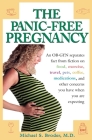 The Panic-Free Pregnancy: An OB-GYN Separates Fact from Fiction on Food, Exercise, Travel, Pets, Coffee... By Michael Broder Cover Image