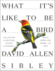 What It's Like to Be a Bird: From Flying to Nesting, Eating to Singing--What Birds Are Doing, and Why (Sibley Guides) By David Allen Sibley Cover Image