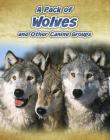 A Pack of Wolves: And Other Canine Groups (Animals in Groups) By Anna Claybourne Cover Image