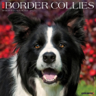 Just Border Collies 2025 12 X 12 Wall Calendar By Willow Creek Press Cover Image