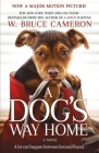 A Dog's Way Home Movie Tie-In: A Novel (A Dog's Way Home Novel #1) Cover Image