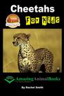 Cheetahs For Kids Cover Image