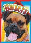 Boxers (Doggie Data) By Margaret Mincks Cover Image